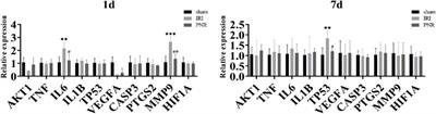 A molecular network-based pharmacological study on the protective effect of Panax notoginseng rhizomes against renal ischemia–reperfusion injury